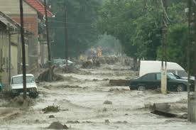 Image result for inundatii