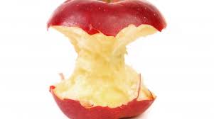 Image result for apple