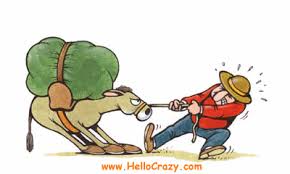 images?q=tbn:ANd9GcTSY_stKGZpTBXn1nbhUHIFGYo2eUX-1xm-F67fRUb4QMR9t6yNrQ