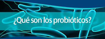 Resultado de imagen para Probióticos