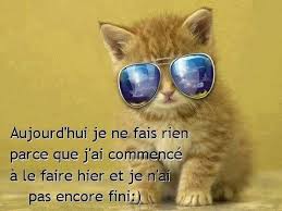 Résultat de recherche d'images pour "images dimanche droles"