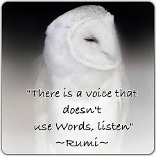 Image result for # THERE IS A COMMUNITY OF SPIRIT # RUMI #