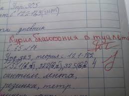 Картинки по запросу школьные дневники
