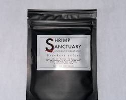 Obrázek: shrimps eating Sanctuary Breeders Select Shrimp Food