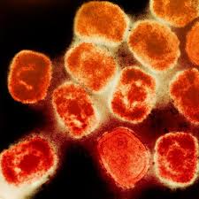 Mpox Cases Surge in Africa Prompting Travel Advisory; Treatment Study Update