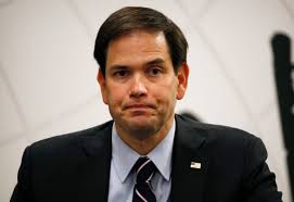 Image result for rubio