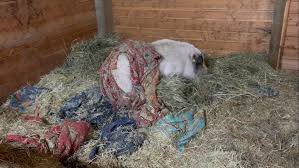 I didn't need to look at the weather forecast to know it ...