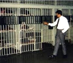 Image result for don jail