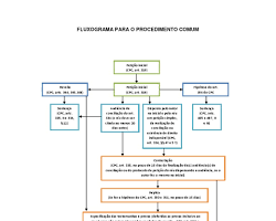 Imagem de fluxograma simplificado de um processo judicial com remédio constitucional