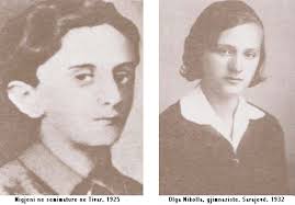 Image result for migjeni