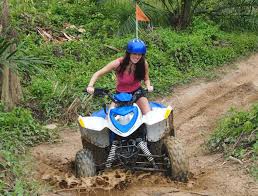Hasil gambar untuk atv