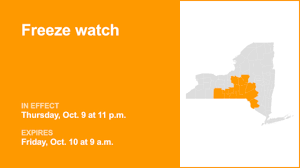 Syracuse.com - News update