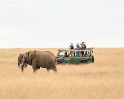Image of Kenya photography safari