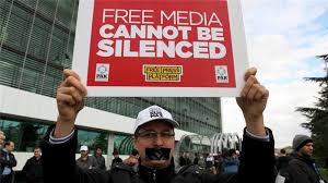 Image result for Turkish media CARTOON