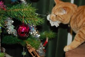 Image result for cats and christmas ornaments