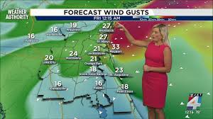 Florida Braces for Heavy Rain and Storm Risks