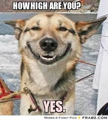 Image result for How are you meme