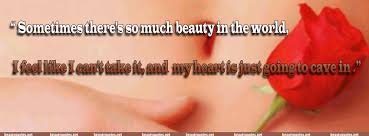 Resultado de imagen para american beauty quotes