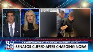 Democrats Allegedly Seeking Arrest to Mimic Trump Mugshot