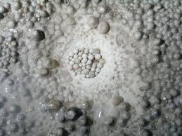 Picture of Cave pearl