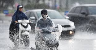 Vietnam.vn - News update