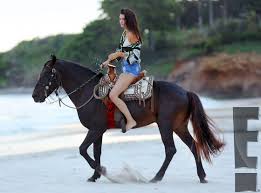 Image result for horses