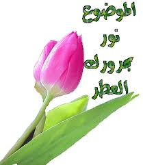 images?qtbnANd9GcTUCcFP2ilj3 JT 0 40tatNhtMYzZdLKxwGGndaHRmuc0m17Ht