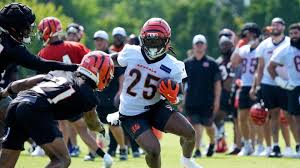 Bengals Wire - News update