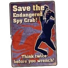 [Image: images?q=tbn:ANd9GcTUL-gemPB4PpAXTnDX4c-...FhL76mLwtU]