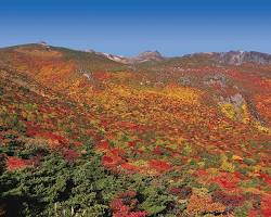 安達太良山の紅葉の画像