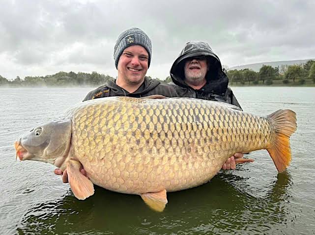 The world’s biggest common carp has been caught | Angling Times