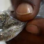 Fake pot likely tainted with rat poison kills 3, sickens 100