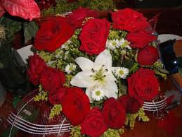 Image result for Love, roses,hearts