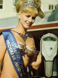 Image result for Gold coast meter maids