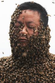 Résultat de recherche d'images pour "covered in bees"