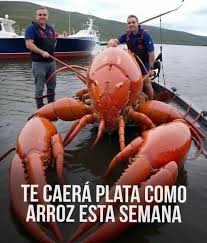 TE CAERÁ PLATA COMO ARROZ ESTA SEMANA
