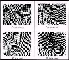 Résultat de recherche d'images pour "fingerprint types"