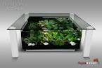 Table basse aquarium