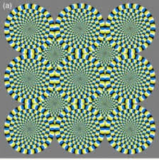 Résultat de recherche d'images pour "rotating snakes"