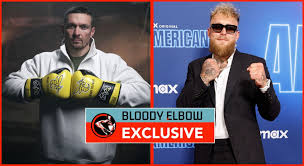 Oleksandr Usyk Interested in MMA Fight With Jake Paul, But Doubts Remain