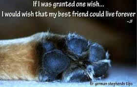 Dog quotes | Pet Quotes | Pinterest | Miss You, I Miss You and Dogs via Relatably.com