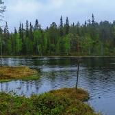 Oulanka National Park