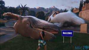 Resultado de imagen de BALLENAS GTA