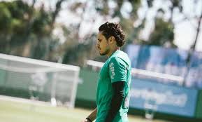 Fim de uma era: Abel Ferreira dá adeus emocionante no Palmeiras