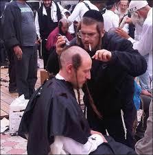 Image result for hasidic jews