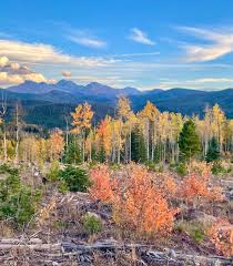 Warm Start, Stormy Saturday, Cooler Sunday Ahead for Northern Colorado