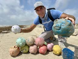 Colorful Sea Pigs