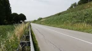 Trend Google: concessione