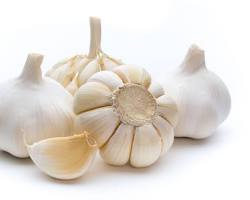 Gambar Bawang putih