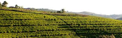Image result for burundi